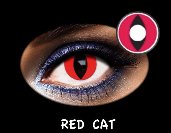 C.FANTASIA TRIMESTRAL RED CAT 2PK