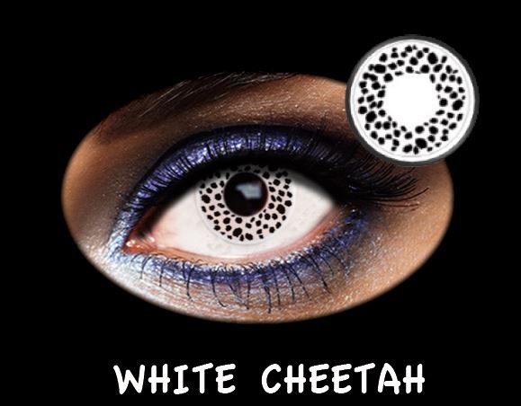C.FANTASIA TRIMESTRAL WHITE CHEETAH 2PK