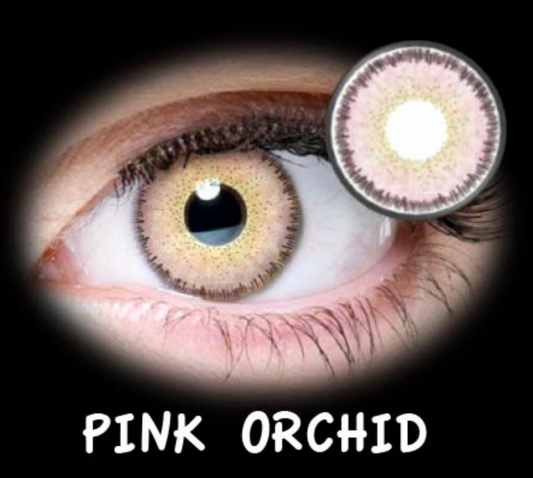 FASHION NATURAL DREAM PINK ORCHID ANUAL 2PK R/8.60 2PK